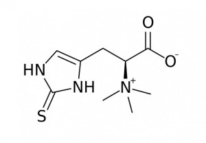 anti-Ergothioneine polyclonal antibody